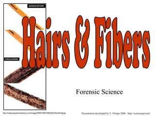 Forensic Science
http://media.popularmechanics.com/images/PMX0706FORENSICSHairSmall.jpg Presentation developed by T. Trimpe 2006 http://sciencespot.net/
 