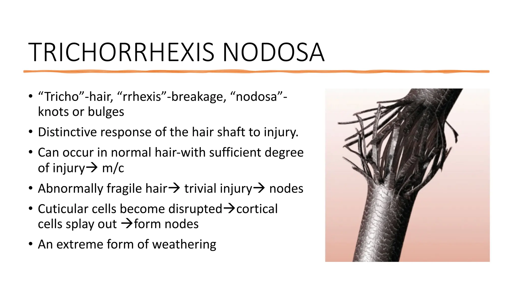 An approach to hair shaft disorders in Dermatology | PDF