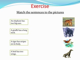 Exercise
A bird has two
wings.
A tiger has stripes
on its body.
A giraffe has a long
neck.
An elephant has
two big ears.
Match the sentences to the pictures
 