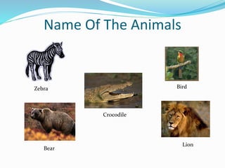 Name Of The Animals
Zebra
Crocodile
Bird
Bear
Lion
 