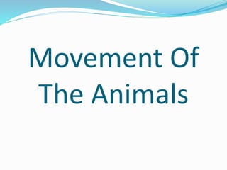 Movement Of
The Animals
 