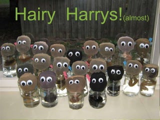 Hairy Harrys!(almost)
Double-click to enter title

Double-click to enter text

 