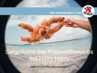 Siegerfotos des Fotowettbewerbs mit Hairy Harry Mehr Menschlichkeit für Tiere VIER PFOTEN & LOMOGRAPHY
