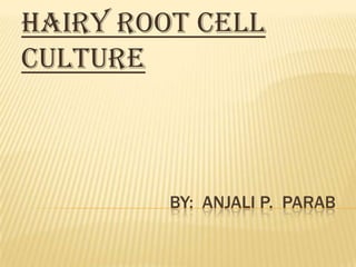                                   By:  anjali p.  parab HAIRY ROOT CELL CULTURE 