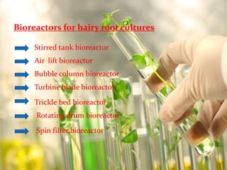 Bioreactors for hairy root cultures 
Stirred tank bioreactor 
Air lift bioreactor 
Bubble column bioreactor 
Turbine blade bioreactor 
Trickle bed bioreactor 
Rotating drum bioreactor 
Spin filter bioreactor 
 