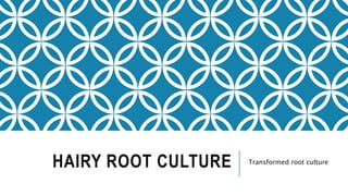 HAIRY ROOT CULTURE Transformed root culture
 