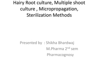 Hairy Root culture, Multiple shoot
culture , Micropropagation,
Sterilization Methods
Presented by : Shikha Bhardwaj
M.Pharma 2nd sem
Pharmacognosy
 