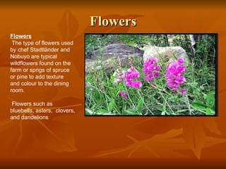 Flowers Flowers The type of flowers used by chef Stadtländer and Nobuyo are typical wildflowers found on the farm or sprigs of spruce or pine to add texture  and colour to the dining room.  Flowers such as bluebells, asters,  clovers, and dandelions 
