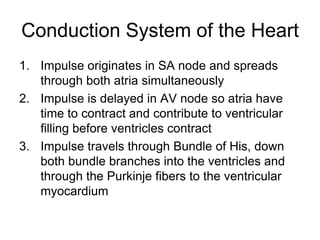 Basic EKG and Rhythm Interpretation Symposia - The CRUDEM Foundation | PPTX