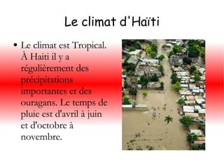 Le climat d'Haïti Le climat est Tropical. À Haiti il y a régulièrement des précipitations importantes et des ouragans. Le temps de pluie est d'avril à juin et d'octobre à novembre. 