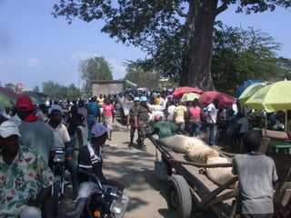 Dr. Damicone - Haiti