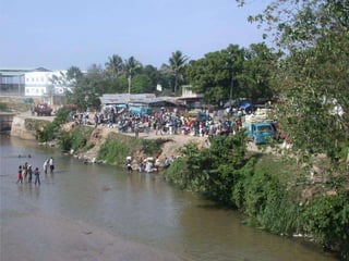 Dr. Damicone - Haiti