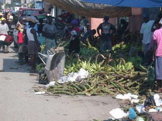 Dr. Damicone - Haiti