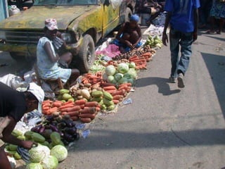 Dr. Damicone - Haiti