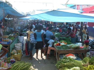 Dr. Damicone - Haiti