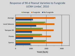 Response of 90-d Peanut Varieties to Fungicide
                     UCNH Limbe’, 2010
                     Average       Fungicide           No Fungicide


     Average                                                          a
                               b
                                                       a
Local Valencia

                                                   a
  Tamspan 90

                                               a
       Pronto

                                                           a
      Spanco


                 0         1000                        2000               3000
                                        Yield (lb/A)
 
