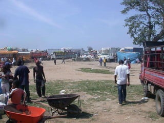 Dr. Damicone - Haiti