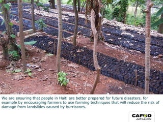 We are ensuring that people in Haiti are better prepared for future disasters, for example by encouraging farmers to use farming techniques that will reduce the risk of damage from landslides caused by hurricanes. 
