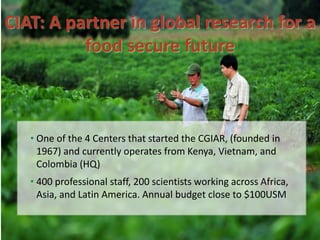 A strategy to improve livelihoods and restore degraded lands in Haiti