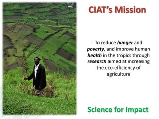 A strategy to improve livelihoods and restore degraded lands in Haiti