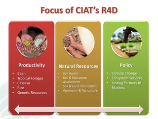 A strategy to improve livelihoods and restore degraded lands in Haiti