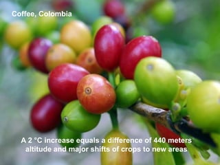 A strategy to improve livelihoods and restore degraded lands in Haiti