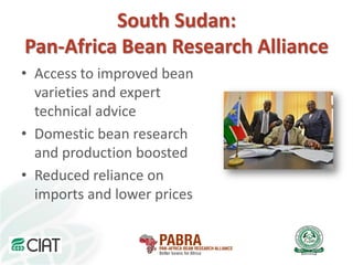 A strategy to improve livelihoods and restore degraded lands in Haiti