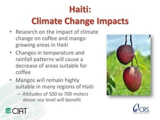 A strategy to improve livelihoods and restore degraded lands in Haiti