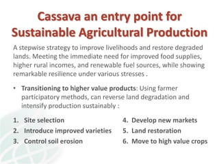 A strategy to improve livelihoods and restore degraded lands in Haiti