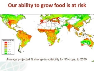 A strategy to improve livelihoods and restore degraded lands in Haiti