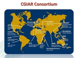 A strategy to improve livelihoods and restore degraded lands in Haiti