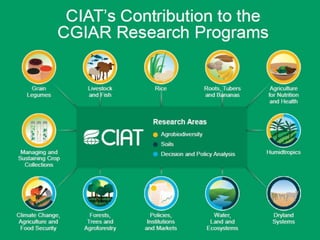 A strategy to improve livelihoods and restore degraded lands in Haiti