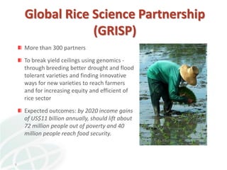 A strategy to improve livelihoods and restore degraded lands in Haiti