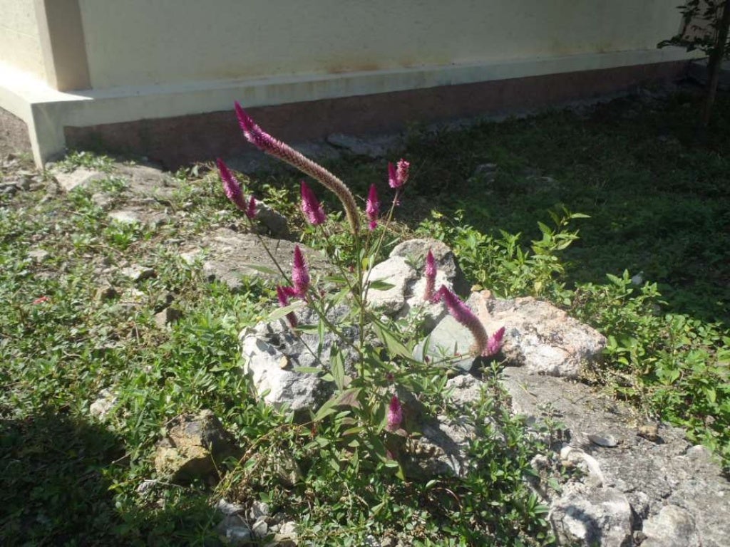 Haiti presentation image