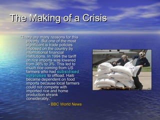 TThhee MMaakkiinngg ooff aa CCrriissiiss 
““TThheerree aarree mmaannyy rreeaassoonnss ffoorr tthhiiss 
ppoovveerrttyy.. BBuutt oonnee ooff tthhee mmoosstt 
ssiiggnniiffiiccaanntt iiss ttrraaddee ppoolliicciieess 
iimmppoosseedd oonn tthhee ccoouunnttrryy bbyy 
iinntteerrnnaattiioonnaall ffiinnaanncciiaall 
iinnssttiittuuttiioonnss.. IInn 11999944 tthhee ttaarriiffff 
oonn rriiccee iimmppoorrttss wwaass lloowweerreedd 
ffrroomm 3366%% ttoo 33%%.. TThhiiss lleedd ttoo 
mmuucchh rriiccee ccoommiinngg ffrroomm UUSS 
ffaarrmmeerrss wwhhoo hhaadd ssuubbssiiddiisseedd 
ssuurrpplluusseess ttoo ooffffllooaadd.. HHaaiittii 
bbeeccaammee ddeeppeennddeenntt oonn ffoooodd 
iimmppoorrttss bbeeccaauussee llooccaall ffaarrmmeerrss 
ccoouulldd nnoott ccoommppeettee wwiitthh 
iimmppoorrtteedd rriiccee aanndd hhoommee 
pprroodduuccttiioonn sshhrraannkk 
ccoonnssiiddeerraabbllyy..”” 
-- BBBBCC WWoorrlldd NNeewwss 
 