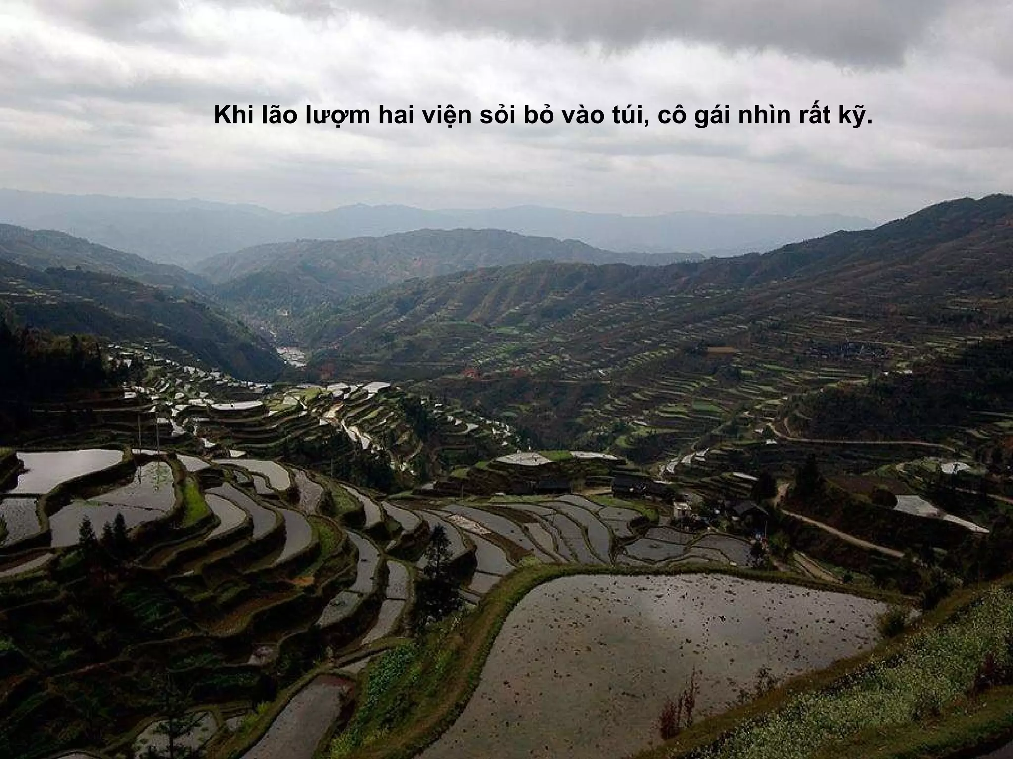 Khi lão l ượ m hai viện sỏi bỏ vào túi, cô gái nhìn rất kỹ. 