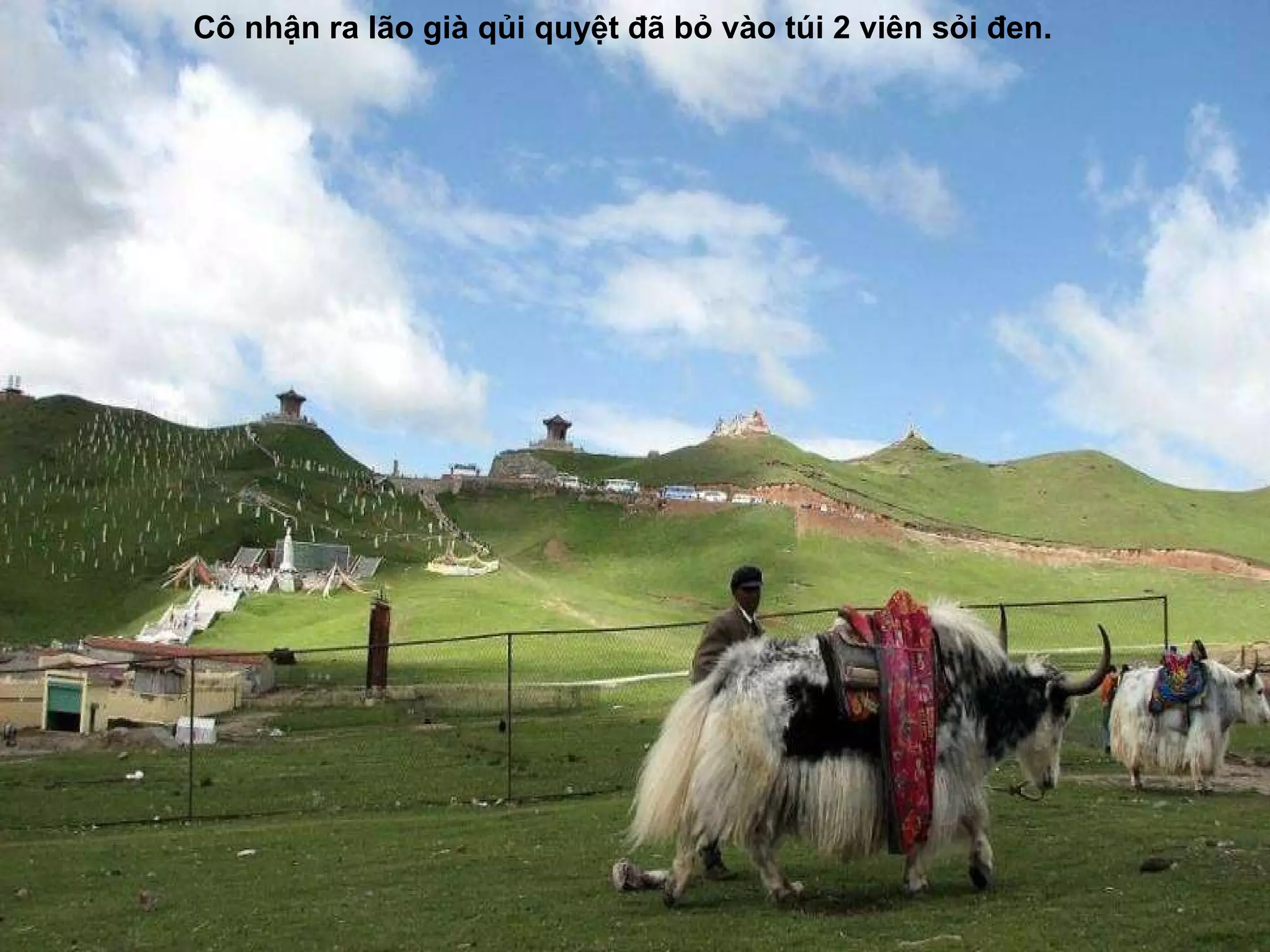 Cô nhận ra lão già qủi quyệt  đã  bỏ vào túi 2 viên sỏi  đ en. 