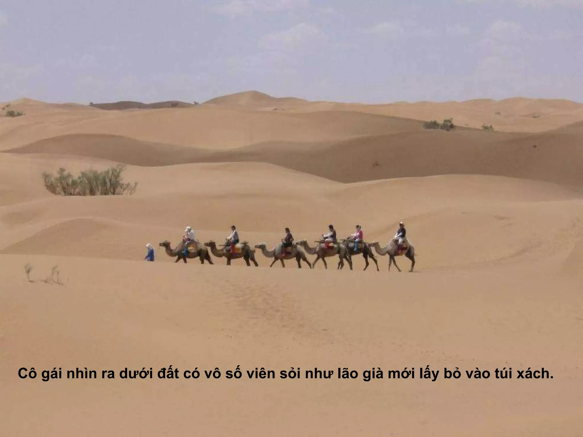 Cô gái nhìn ra d ướ i  đấ t có vô số viên sỏi nh ư  lão già mới lấy bỏ vào túi xách. 