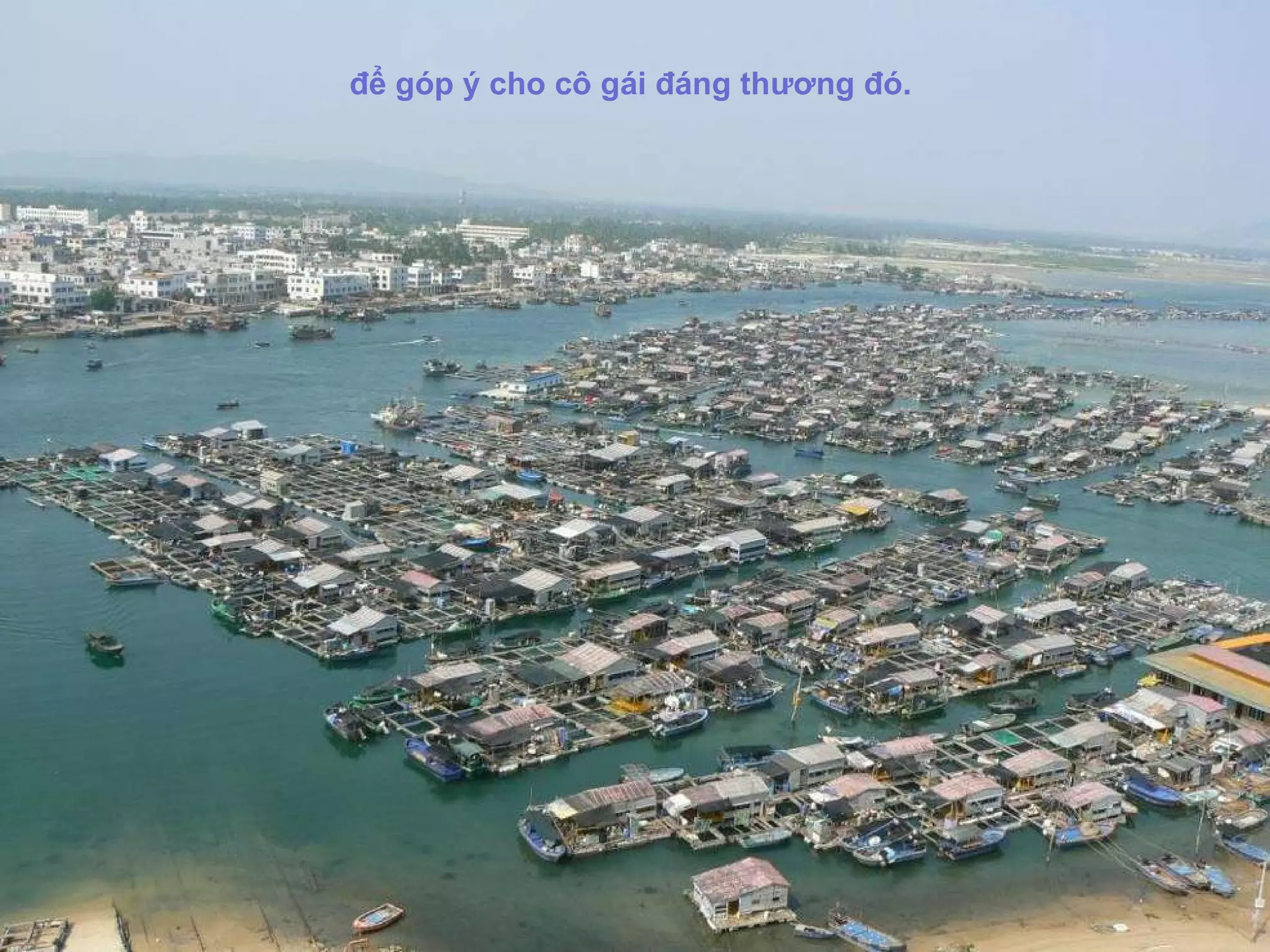 đ ể góp ý cho cô gái  đá ng th ươ ng  đó .   