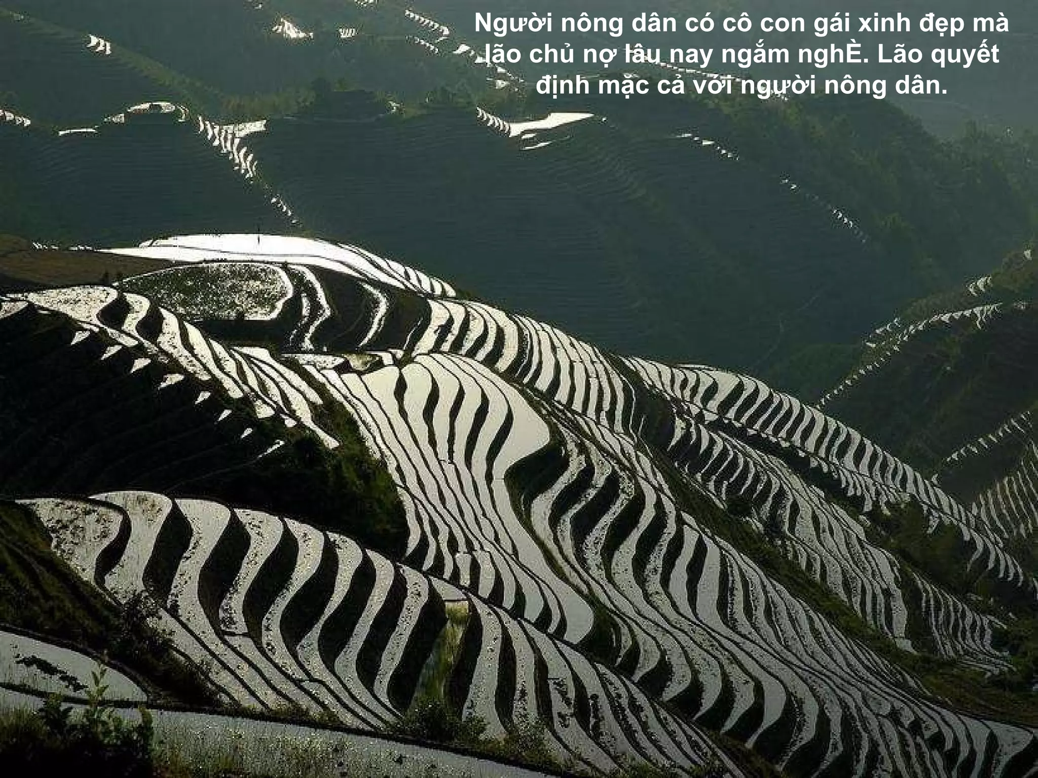 Ng ườ i nông dân có cô con gái xinh  đẹ p mà lão chủ nợ lâu nay ngắm nghé. Lão quyết  đị nh mặc cả với ng ườ i nông dân. 