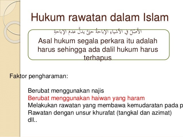 Haiwan dalam bidang perubatan (perspektif islam)