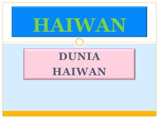 HAIWAN
DUNIA
HAIWAN

 