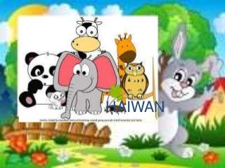 HAIWAN 
 