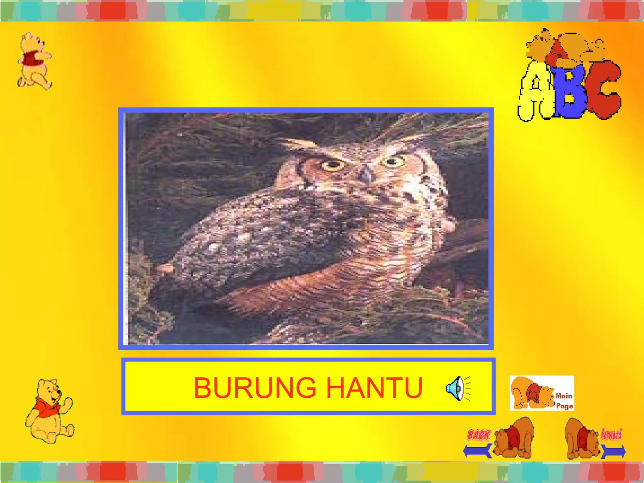 BURUNG HANTU 