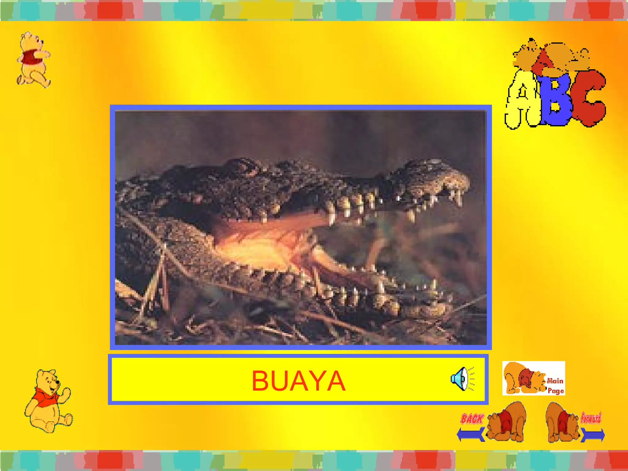 BUAYA 
