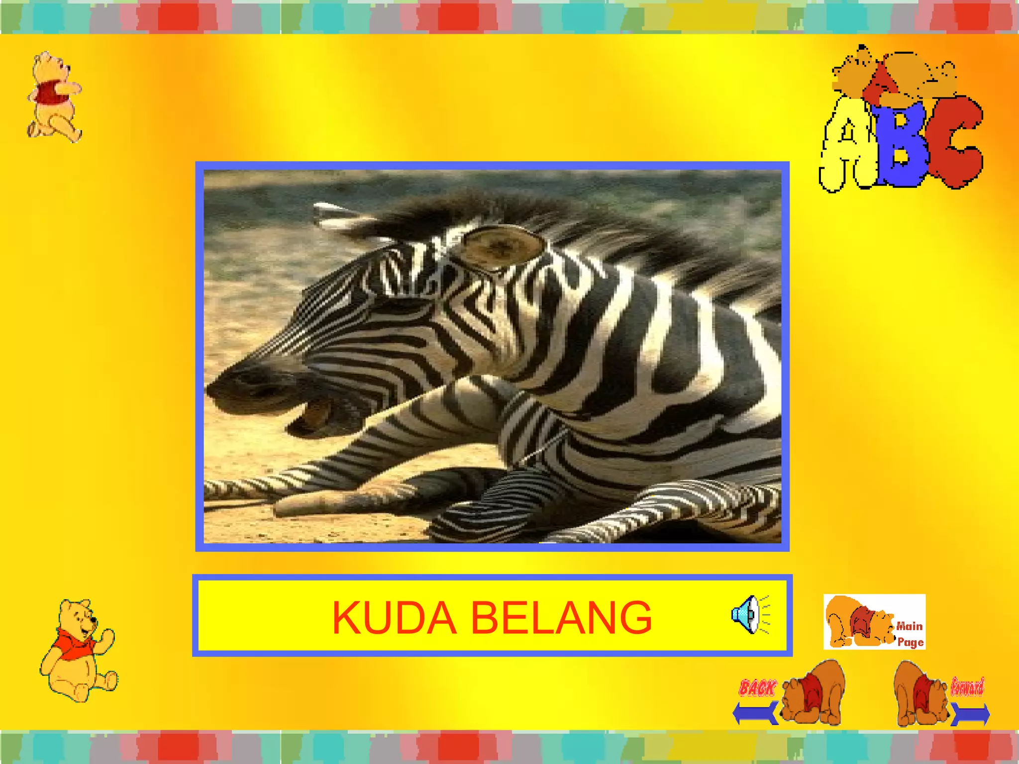 KUDA BELANG 