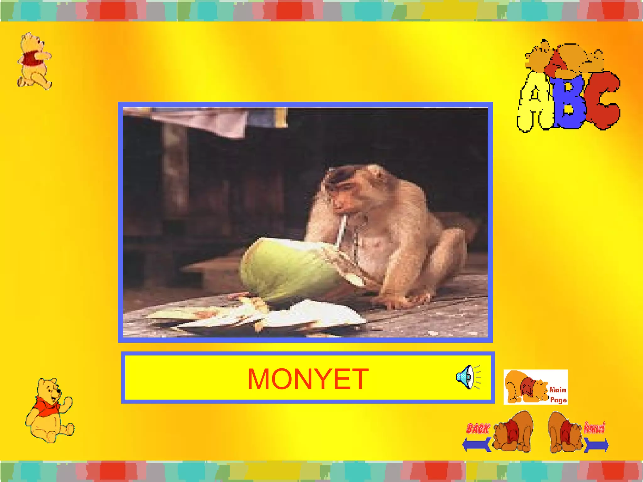 MONYET 