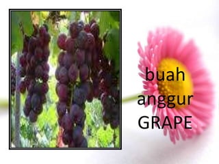 buah
anggur
GRAPE
 