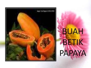 BUAH
 BETIK
PAPAYA
 