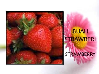 BUAH
STRAWBERI

STRAWBERRY
 